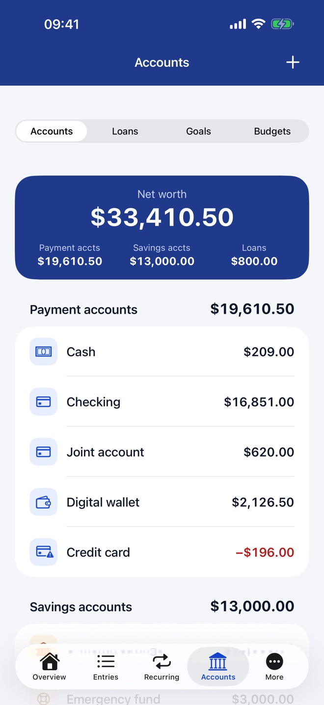Account list with the net worth