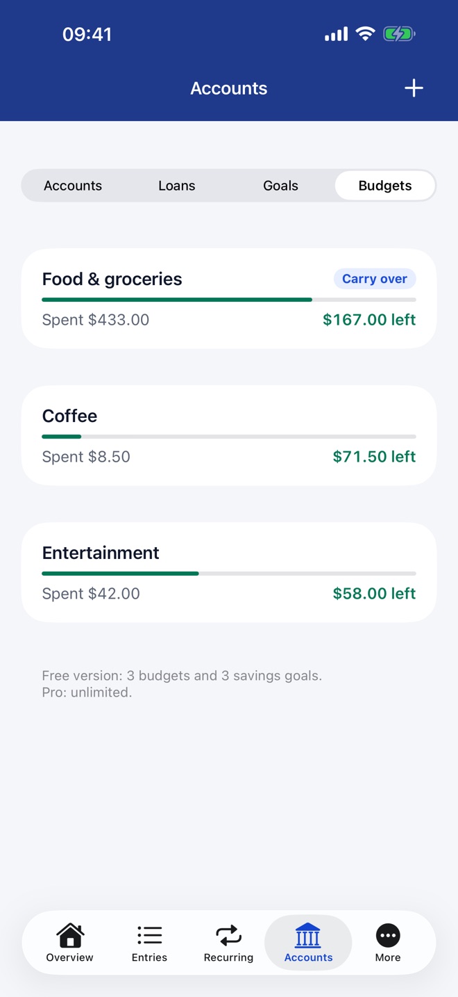Budgets per category with what was spent and what is left