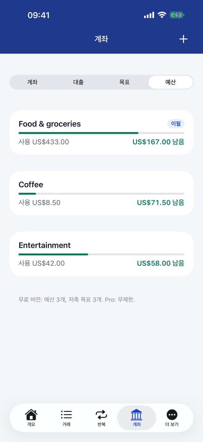 카테고리별 예산과 사용 금액, 남은 금액
