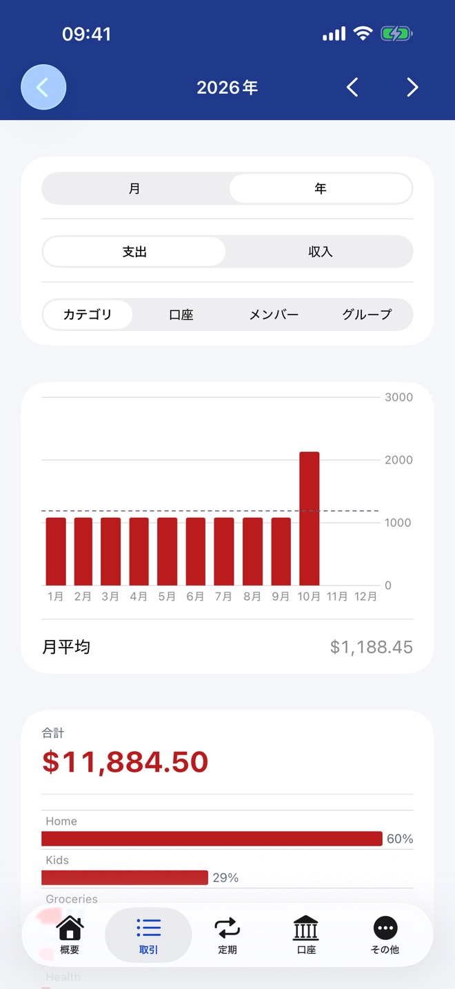 1年間の月ごとの支出グラフ